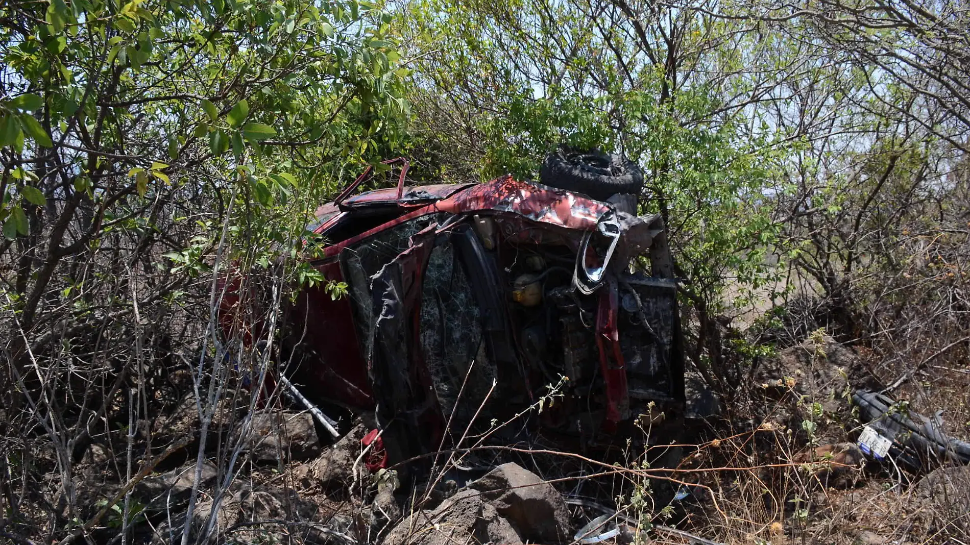 28 ABRIL. Entre rocas y arbustos